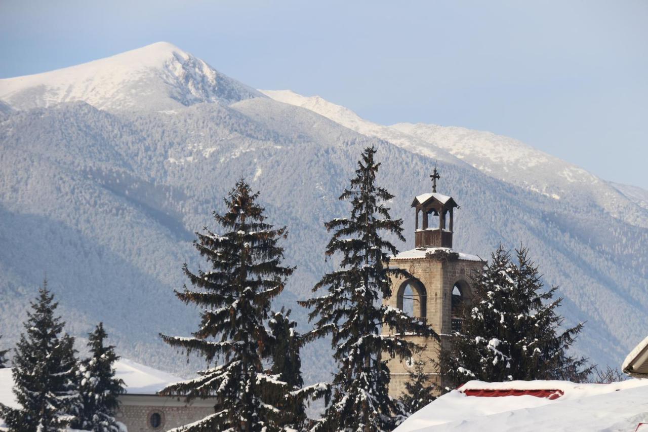 Hotel Alpin - 91 Банско Экстерьер фото